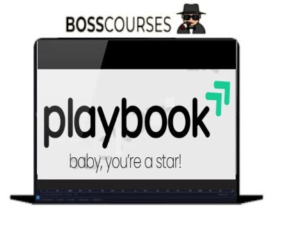 The Playbook by Ryan Lee